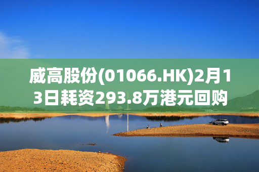 威高股份(01066.HK)2月13日耗资293.8万港元回购60万股