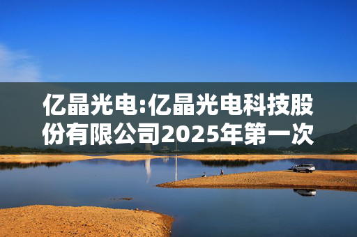 亿晶光电:亿晶光电科技股份有限公司2025年第一次临时股东大会会议资料