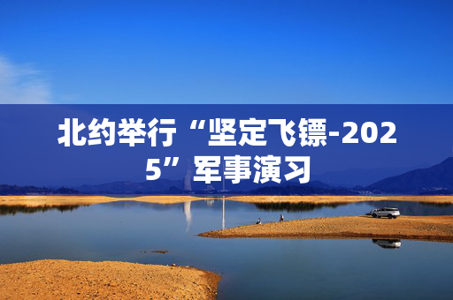 北约举行“坚定飞镖-2025”军事演习