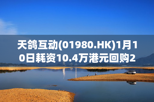 天鸽互动(01980.HK)1月10日耗资10.4万港元回购20万股