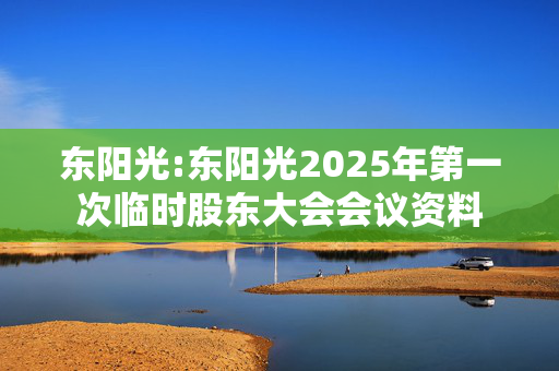 东阳光:东阳光2025年第一次临时股东大会会议资料