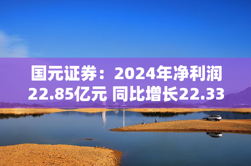 国元证券：2024年净利润22.85亿元 同比增长22.33%