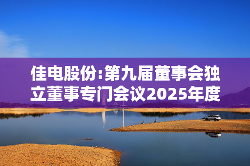 佳电股份:第九届董事会独立董事专门会议2025年度第一次会议的审核意见