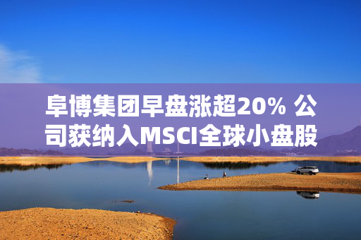 阜博集团早盘涨超20% 公司获纳入MSCI全球小盘股指数