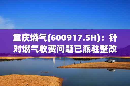 重庆燃气(600917.SH)：针对燃气收费问题已派驻整改督导专班