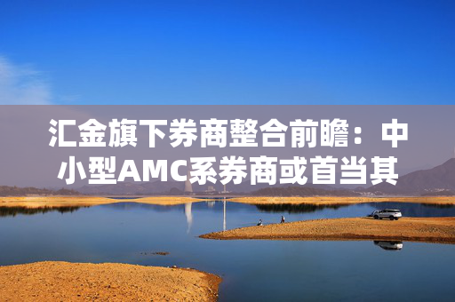 汇金旗下券商整合前瞻：中小型AMC系券商或首当其冲