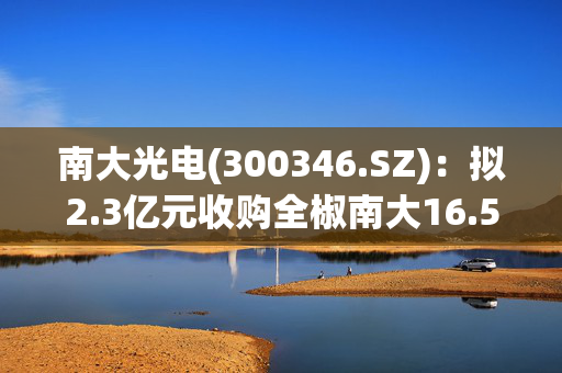 南大光电(300346.SZ)：拟2.3亿元收购全椒南大16.5398%股权