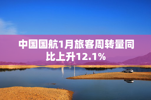 中国国航1月旅客周转量同比上升12.1%