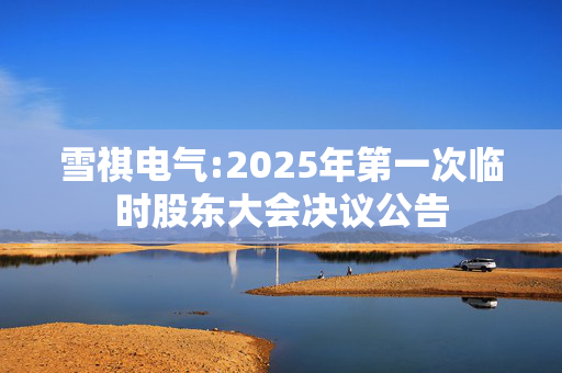 雪祺电气:2025年第一次临时股东大会决议公告