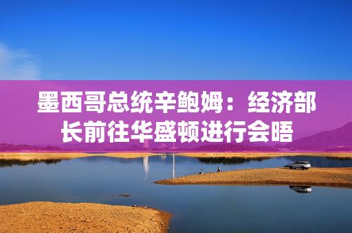 墨西哥总统辛鲍姆：经济部长前往华盛顿进行会晤