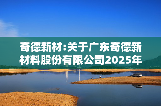 奇德新材:关于广东奇德新材料股份有限公司2025年第一次临时股东大会的法律意见书