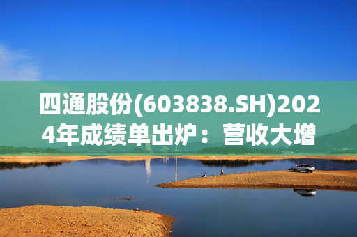 四通股份(603838.SH)2024年成绩单出炉：营收大增 业绩改善 未来看点在哪？