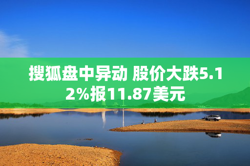 搜狐盘中异动 股价大跌5.12%报11.87美元