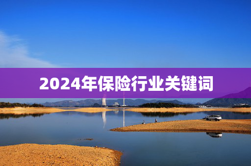 2024年保险行业关键词