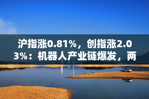 沪指涨0.81%，创指涨2.03%：机器人产业链爆发，两市成交1.7万亿元