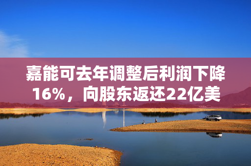 嘉能可去年调整后利润下降16%，向股东返还22亿美元