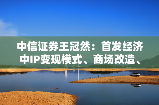 中信证券王冠然：首发经济中IP变现模式、商场改造、新商业模式的投资方向