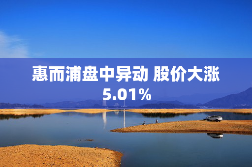 惠而浦盘中异动 股价大涨5.01%