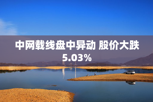 中网载线盘中异动 股价大跌5.03%