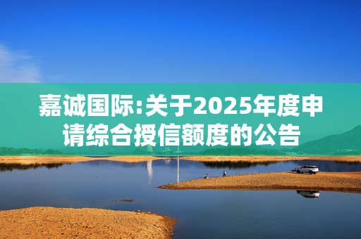 嘉诚国际:关于2025年度申请综合授信额度的公告