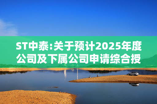 ST中泰:关于预计2025年度公司及下属公司申请综合授信及公司为下属公司提供担保额度的公告