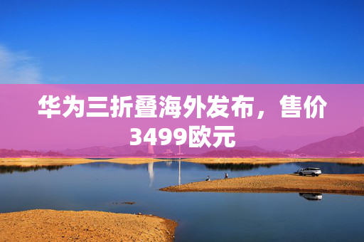 华为三折叠海外发布，售价3499欧元