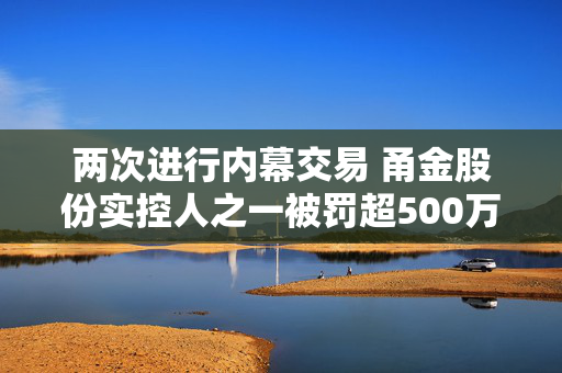 两次进行内幕交易 甬金股份实控人之一被罚超500万元