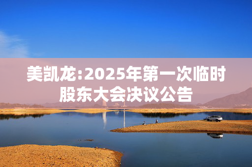 美凯龙:2025年第一次临时股东大会决议公告