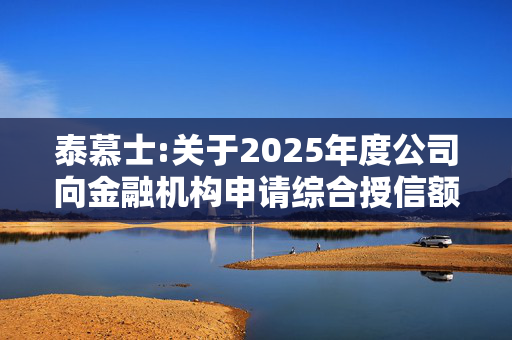 泰慕士:关于2025年度公司向金融机构申请综合授信额度的公告