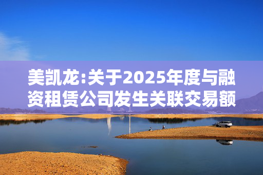 美凯龙:关于2025年度与融资租赁公司发生关联交易额度预计的公告