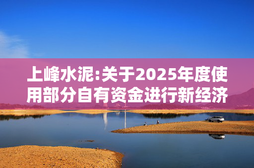 上峰水泥:关于2025年度使用部分自有资金进行新经济股权投资的公告