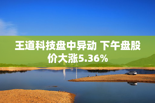 王道科技盘中异动 下午盘股价大涨5.36%