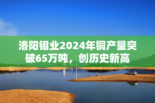 洛阳钼业2024年铜产量突破65万吨，创历史新高