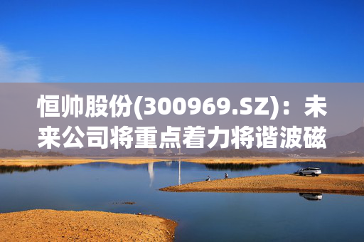 恒帅股份(300969.SZ)：未来公司将重点着力将谐波磁场电机技术往更多的领域、场景适配