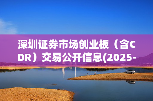 深圳证券市场创业板（含CDR）交易公开信息(2025-02-19)