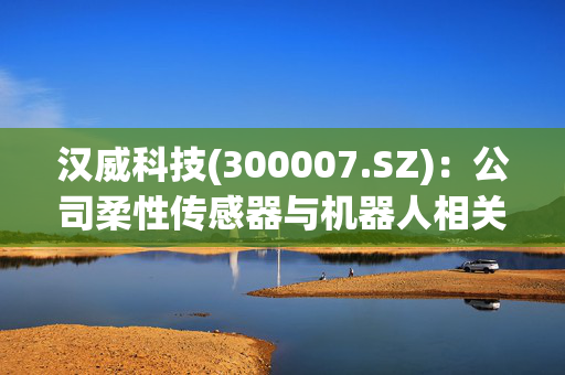 汉威科技(300007.SZ)：公司柔性传感器与机器人相关厂商的合作尚处于送样、个性化方案定制、小批量供货等前期阶段