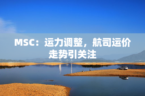 MSC：运力调整，航司运价走势引关注