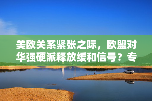 美欧关系紧张之际，欧盟对华强硬派释放缓和信号？专家：言之尚早