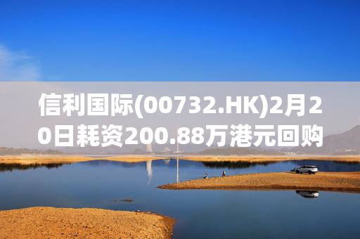 信利国际(00732.HK)2月20日耗资200.88万港元回购152.6万股