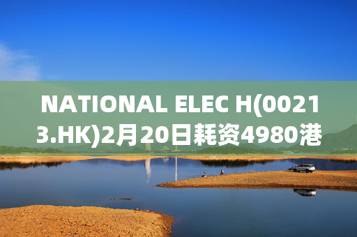 NATIONAL ELEC H(00213.HK)2月20日耗资4980港元回购1.2万股