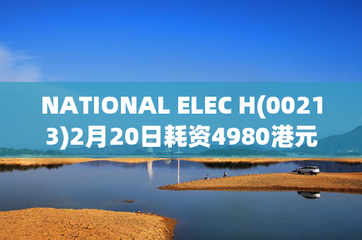 NATIONAL ELEC H(00213)2月20日耗资4980港元回购1.2万股