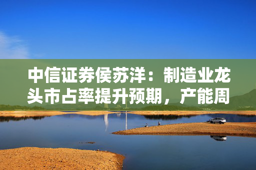 中信证券侯苏洋：制造业龙头市占率提升预期，产能周期去化过程中的优势及投资建议