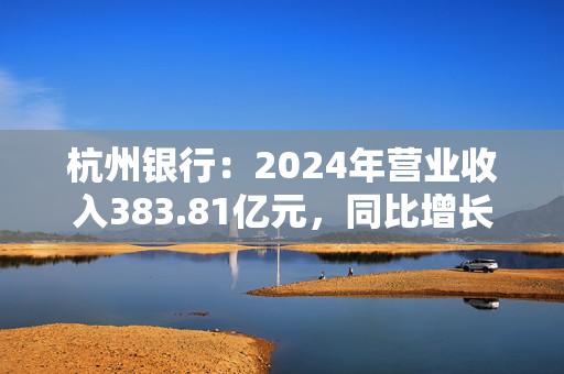 杭州银行：2024年营业收入383.81亿元，同比增长9.61%