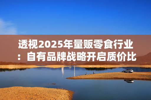 透视2025年量贩零食行业：自有品牌战略开启质价比时代