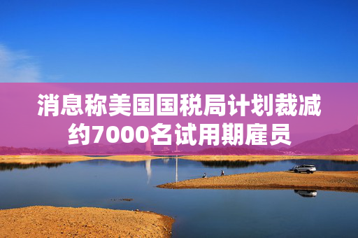 消息称美国国税局计划裁减约7000名试用期雇员