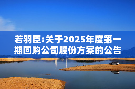 若羽臣:关于2025年度第一期回购公司股份方案的公告