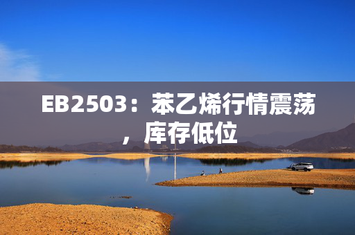 EB2503：苯乙烯行情震荡，库存低位