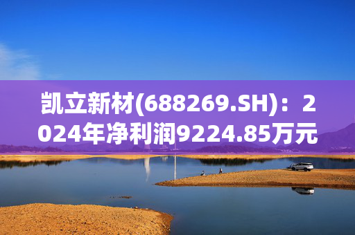 凯立新材(688269.SH)：2024年净利润9224.85万元 同比减少18.27%