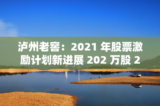 泸州老窖：2021 年股票激励计划新进展 202 万股 2 月 24 日流通