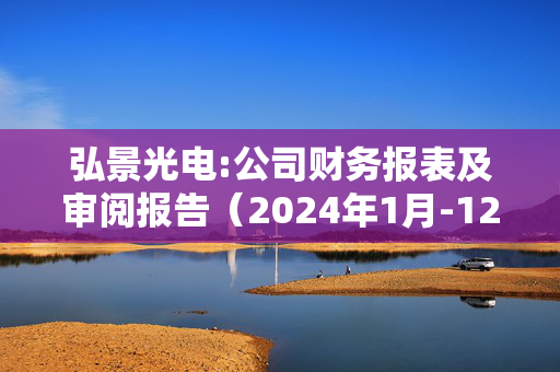 弘景光电:公司财务报表及审阅报告（2024年1月-12月）